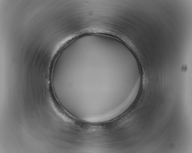 X0000112030438200908241542