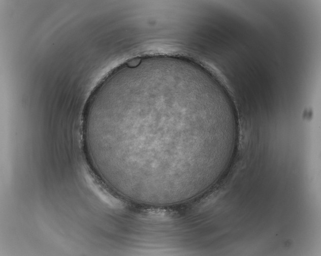 X0000112030439200908241542