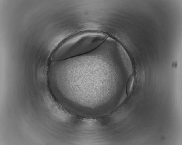 X0000112030440200908241542