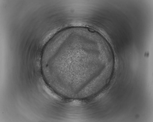 X0000112030441200908241542