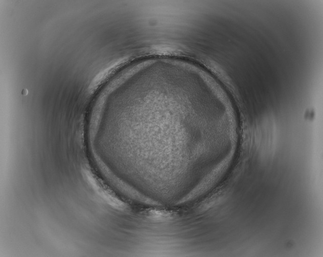 X0000112030442200908241542