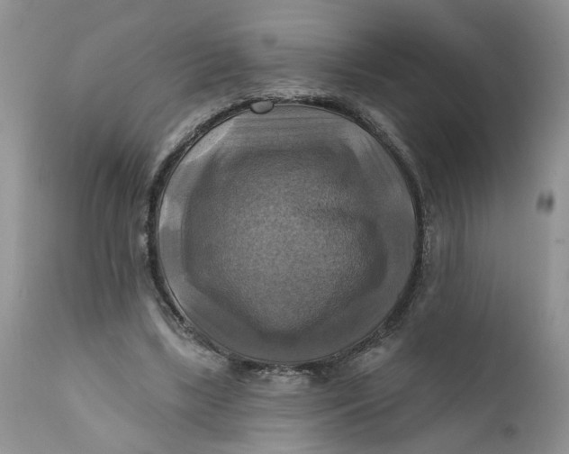 X0000112030443200908241542
