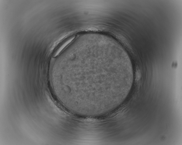X0000112030444200908241542