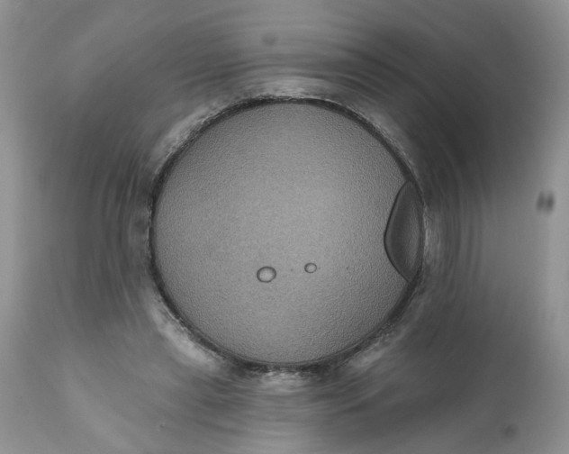 X0000112030445200908241542