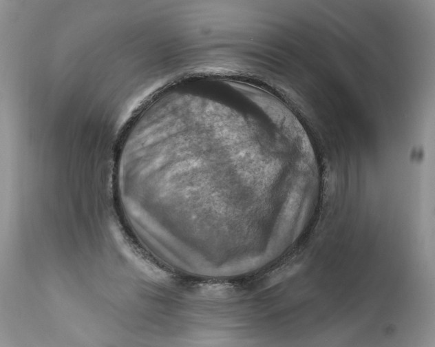X0000112030446200908241542