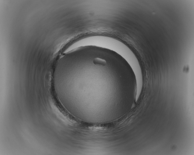 X0000112030448200908241542