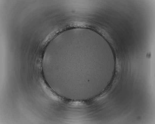 X0000112030449200908241542