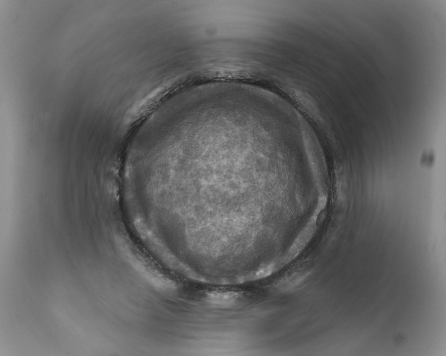 X0000112030450200908241542