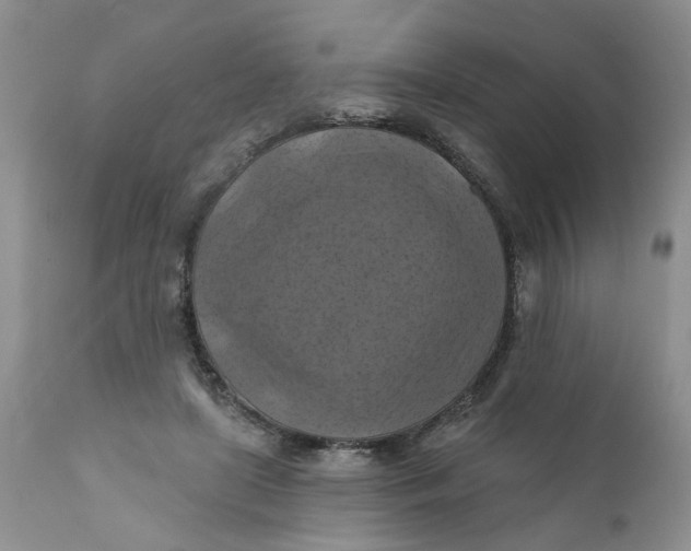 X0000112030451200908241542