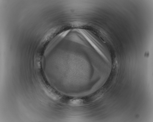 X0000112030452200908241542