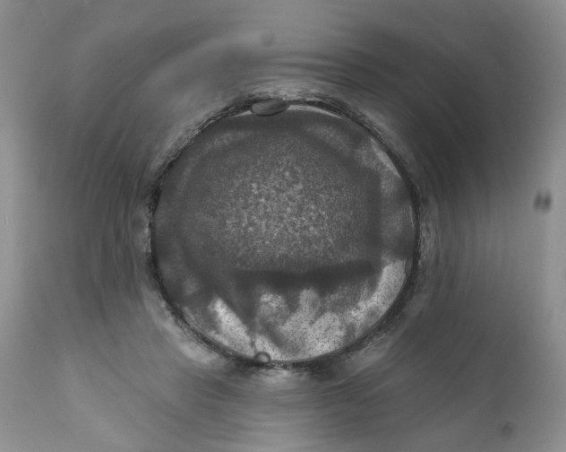 X0000112030453200908241542