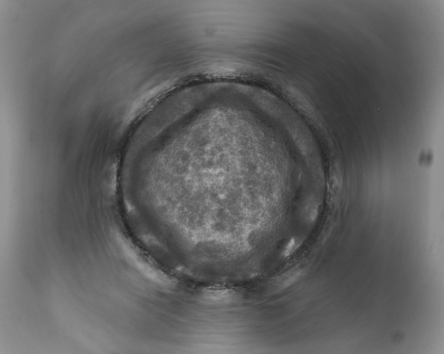 X0000112030454200908241542