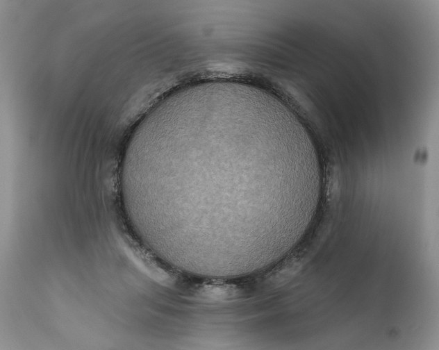 X0000112030455200908241542