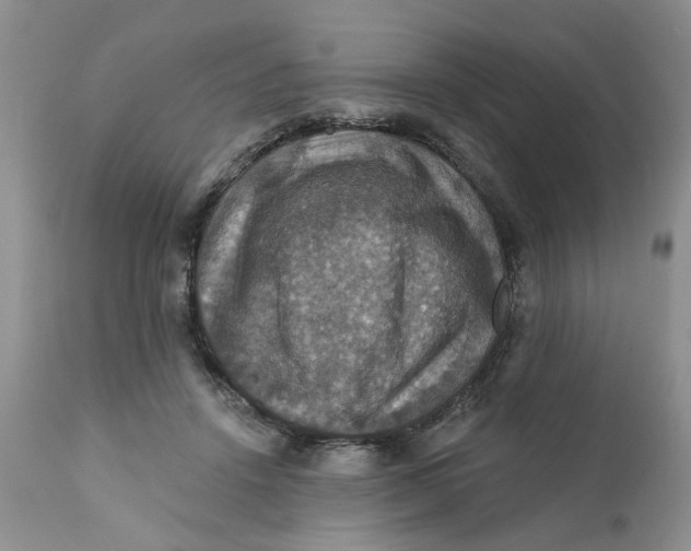 X0000112030456200908241542