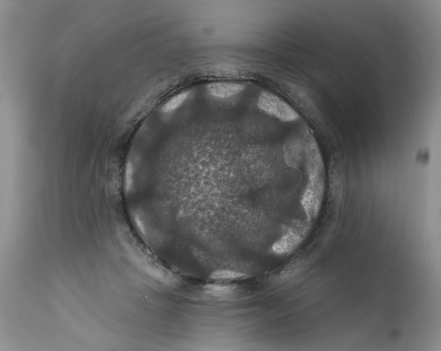 X0000112030457200908241542