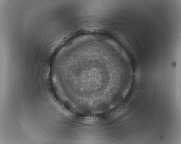 X0000112030458200908241542