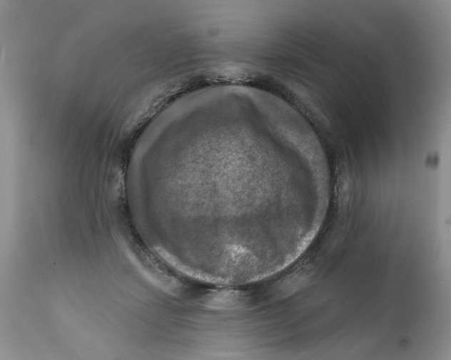 X0000112030459200908241542