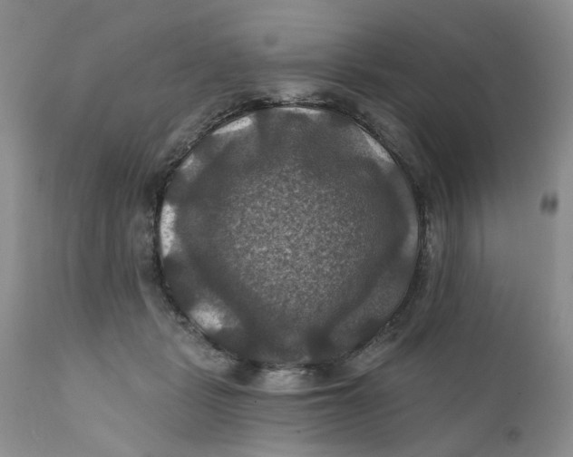 X0000112030461200908241542