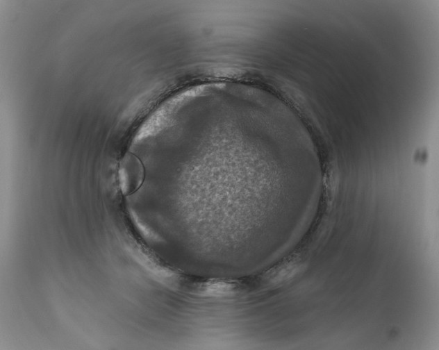 X0000112030462200908241542