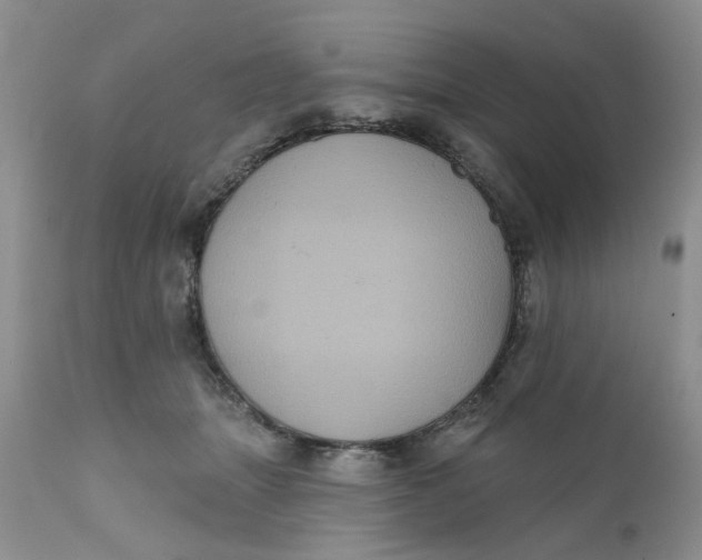 X0000112030463200908241542
