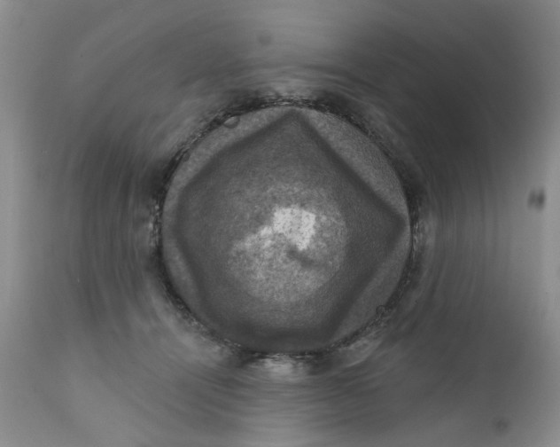 X0000112030464200908241542