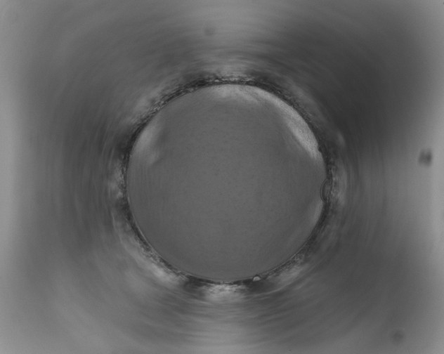 X0000112030465200908241542