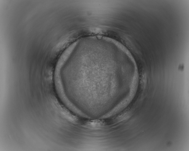 X0000112030466200908241542