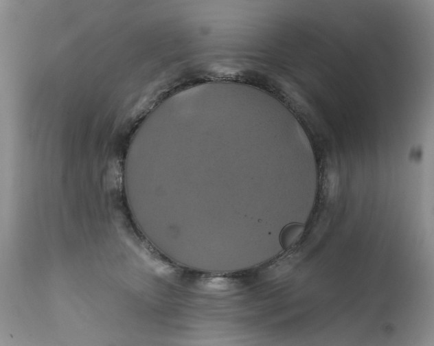 X0000112030467200908241542