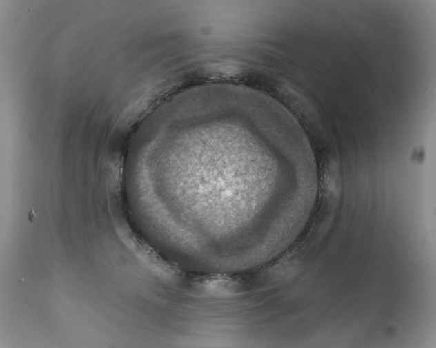 X0000112030468200908241542