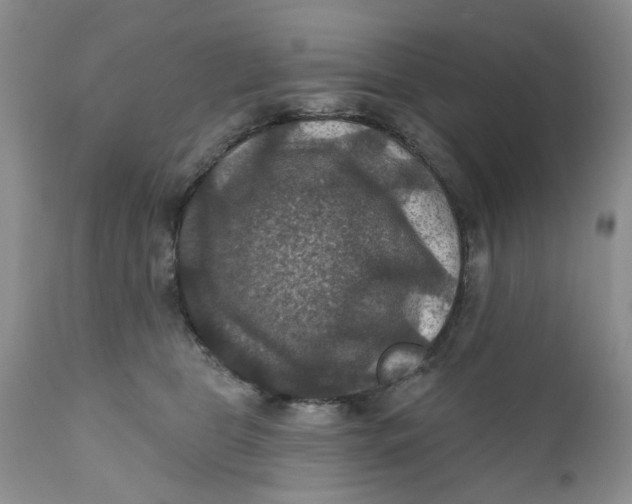 X0000112030469200908241542