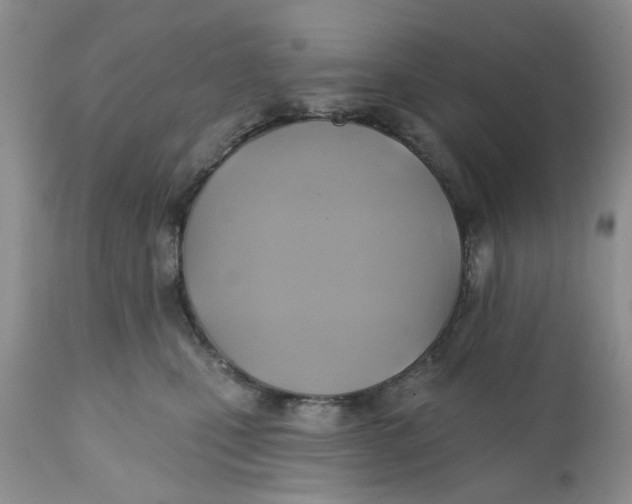 X0000112030471200908241542