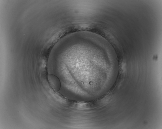 X0000112030472200908241542