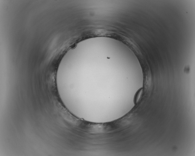 X0000112030473200908241542