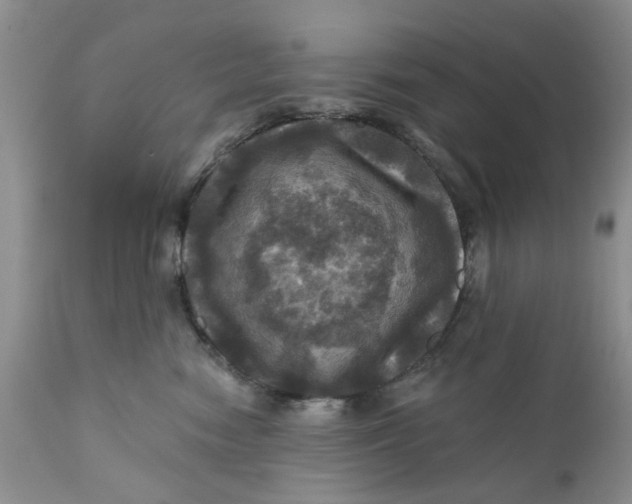 X0000112030474200908241542