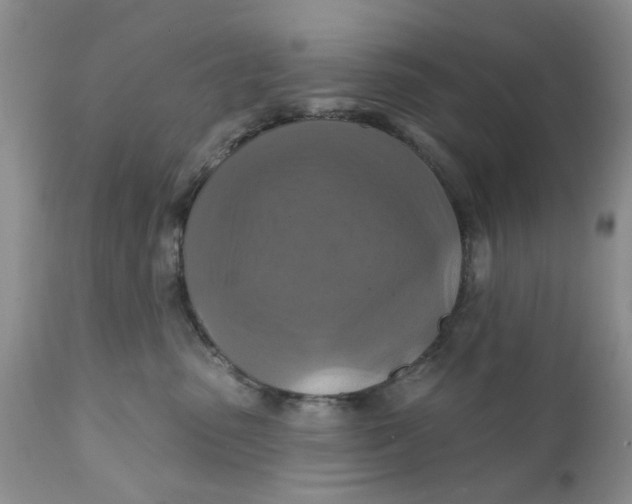 X0000112030475200908241542
