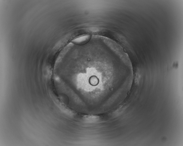 X0000112030476200908241542