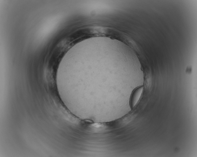 X0000112030477200908241542