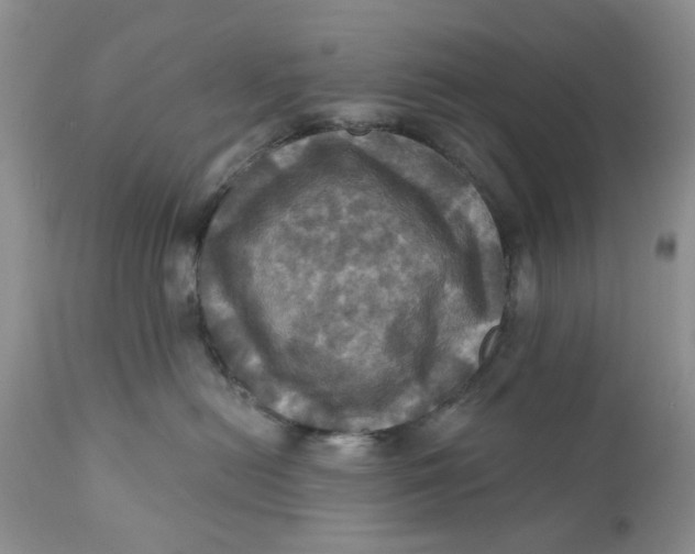 X0000112030478200908241542