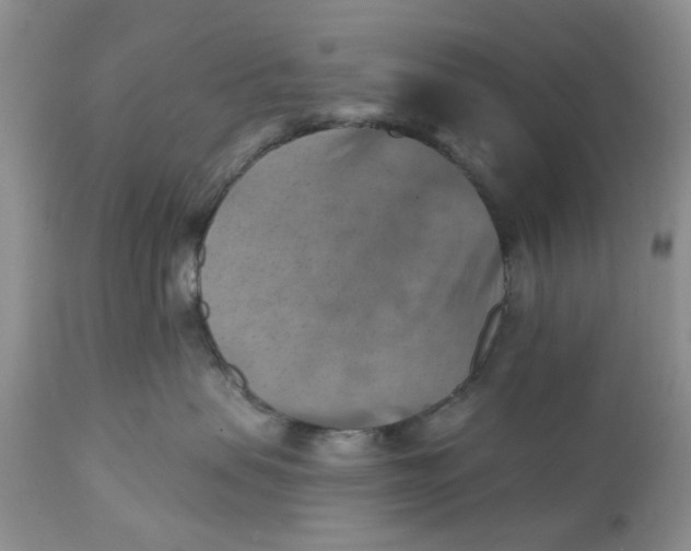 X0000112030479200908241543