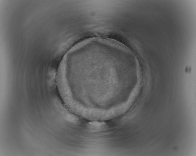 X0000112030480200908241543