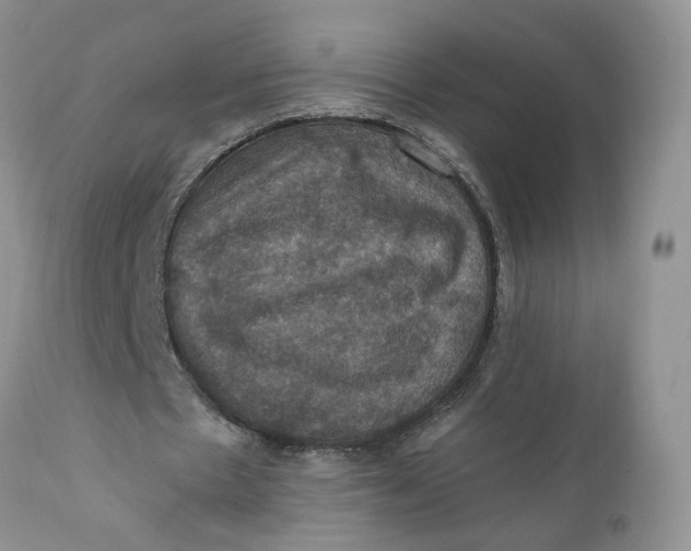 X0000112030481200908241542
