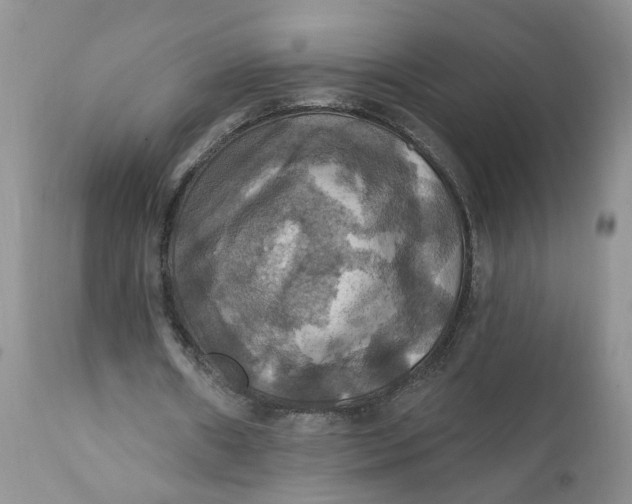 X0000112030482200908241542