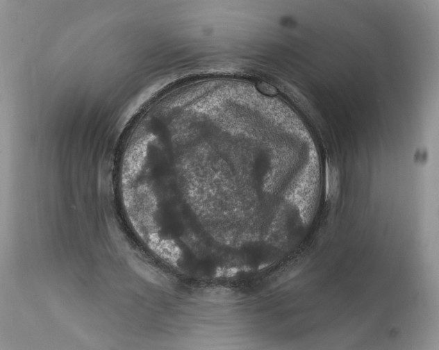 X0000112030483200908241542
