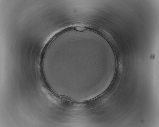 X0000112030484200908241542