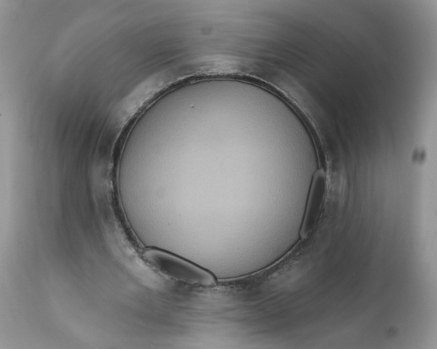 X0000112030485200908241542