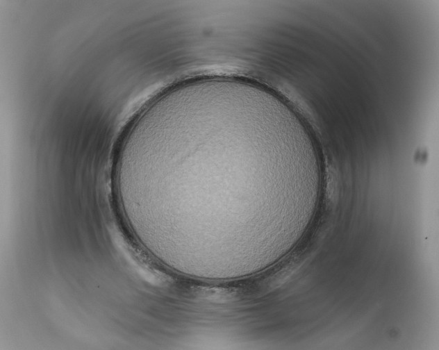 X0000112030486200908241542