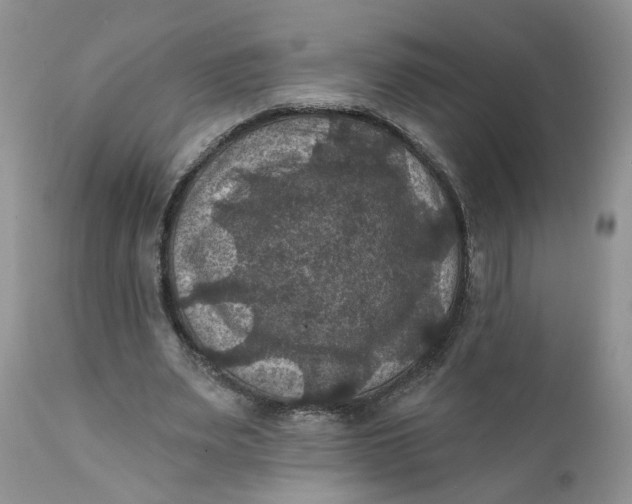 X0000112030487200908241542