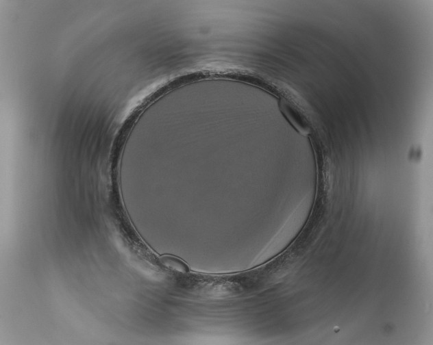 X0000112030488200908241542