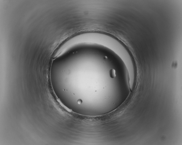 X0000112030489200908241542