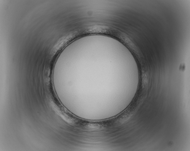 X0000112030490200908241542